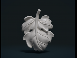 fig leaf 3D Print Model