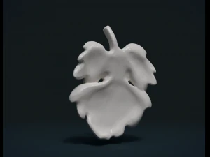 fig leaf 3D Print Model
