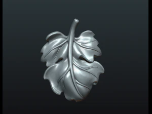 fig leaf 3D Print Model