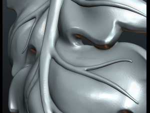 fig leaf Model do druku 3D