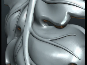 fig leaf 3D Print Model