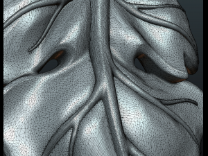 fig leaf Model do druku 3D