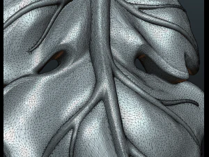fig leaf 3D Print Model