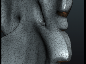 fig leaf Model do druku 3D