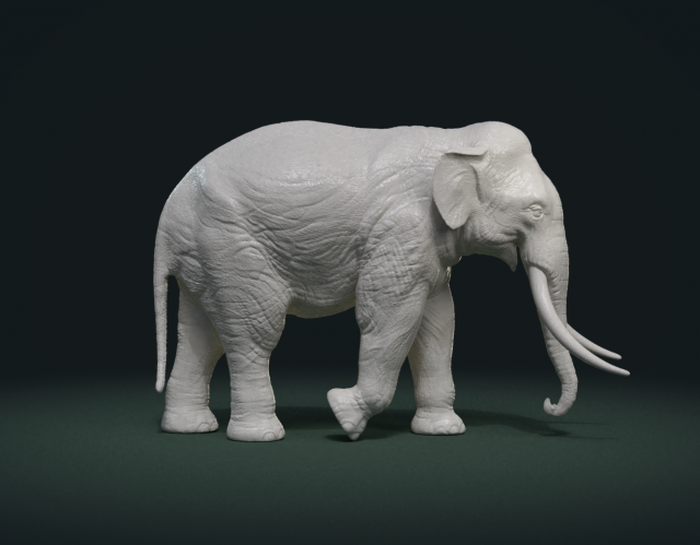 asian elephant Model do druku 3D .c4d .max .obj .3ds .fbx .stl .blend 