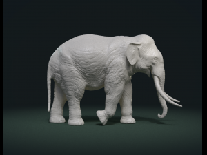 asian elephant 3D Print Model