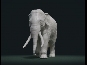 asian elephant Model do druku 3D