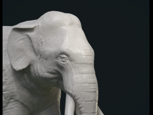 asian elephant Model do druku 3D