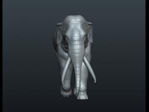 asian elephant Model do druku 3D