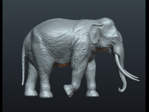 asian elephant Model do druku 3D