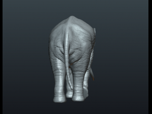 asian elephant Model do druku 3D