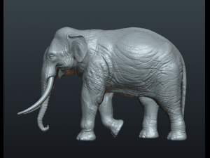 asian elephant Model do druku 3D