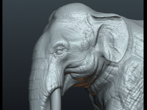 asian elephant Model do druku 3D