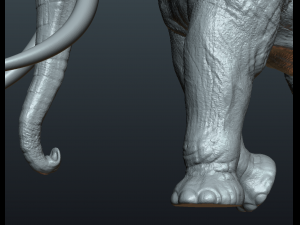 asian elephant Model do druku 3D