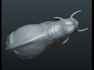asian elephant Model do druku 3D