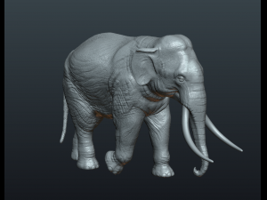asian elephant Model do druku 3D