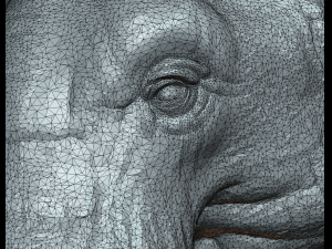 asian elephant Model do druku 3D