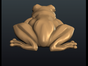 frog Modello di stampa 3D