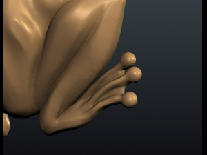 frog Modello di stampa 3D