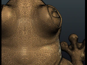 frog 3D Print Model