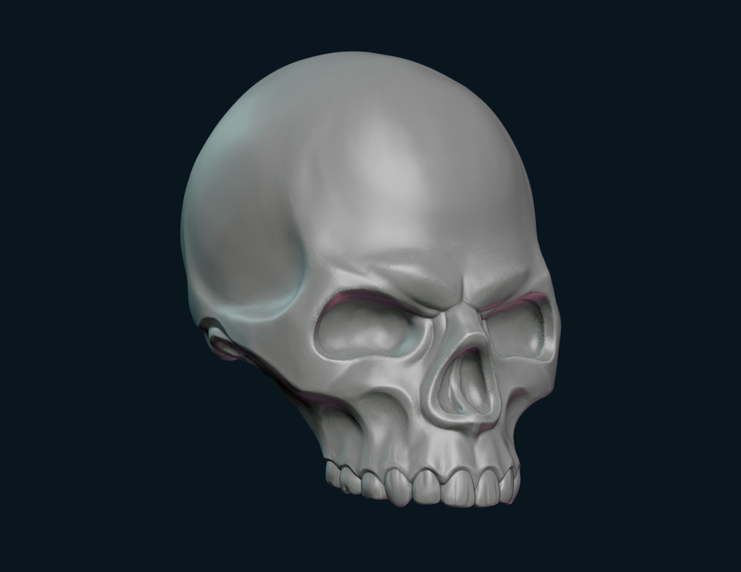 Stylized Skull 3D Model in Anatomy 3DExport