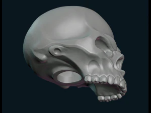 gestileerde schedel 3D printmodel