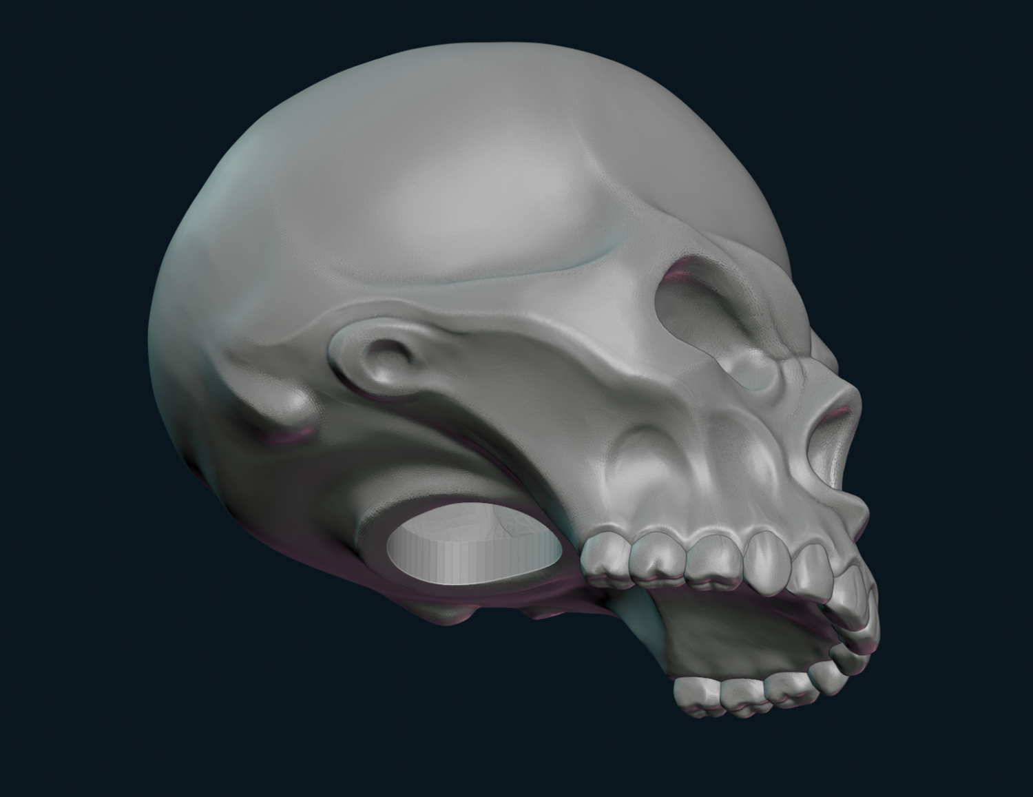 Stylized Skull 3D Model in Anatomy 3DExport