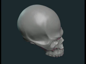 gestileerde schedel 3D printmodel