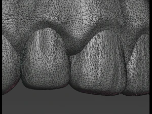 gestileerde schedel 3D printmodel