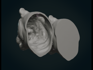 tiger head 3D Print Model