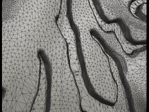 tiger head 3D Print Model