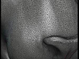 tiger head ii 3D Принт Модель