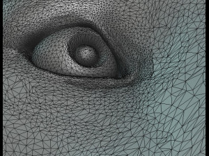 tiger head ii 3D Принт Модель