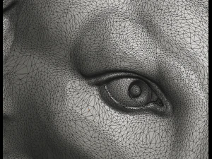 lion head 3D Print Model