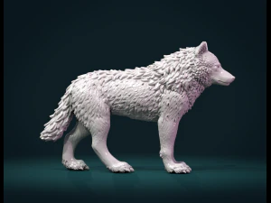 늑대 iii 3D 프린트 모델