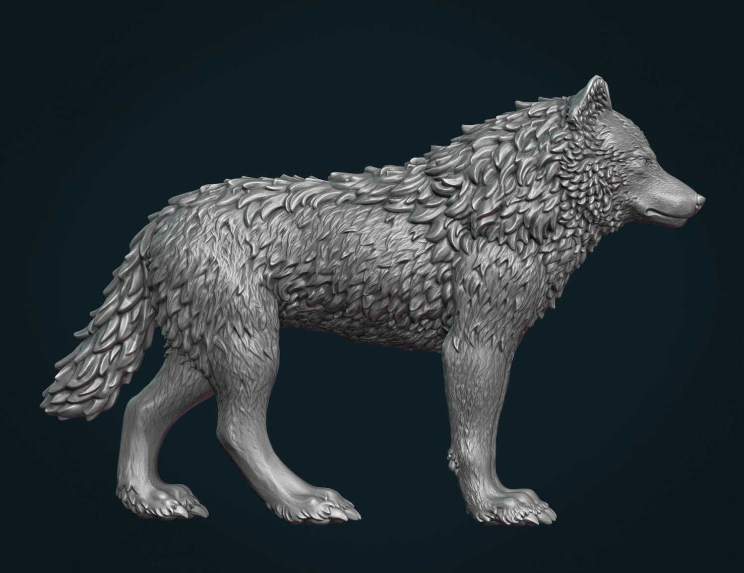 Wolf models. Волк 3d. Волк 3д модель. Красивый волк 3d модель. Волк модель 3д полигоны.