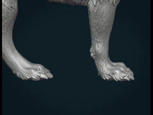 wolf iii Modelo de Impressão 3D