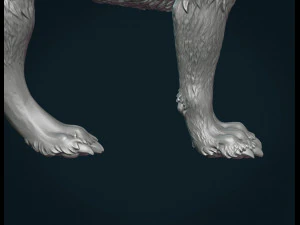 늑대 iii 3D 프린트 모델