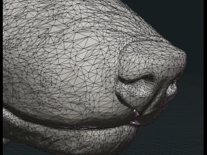 늑대 iii 3D 프린트 모델