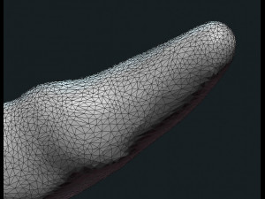 gnome cap ii Modèles 3D en vedette