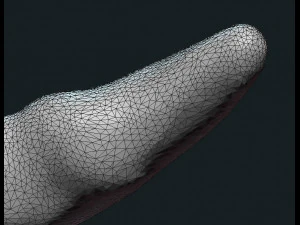 gnome cap ii 3D Print Model