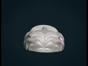 女性の顔 3Dプリントモデル