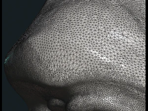 女性の顔 3Dプリントモデル