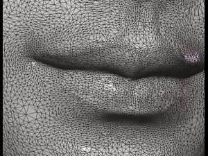 female face Modello di stampa 3D