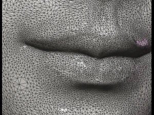 女性の顔 3Dプリントモデル