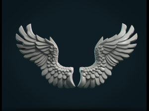 wings relief 3D Print Model