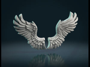 wings relief Modelo de Impressão 3D
