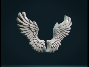 wings relief Modelo de Impressão 3D