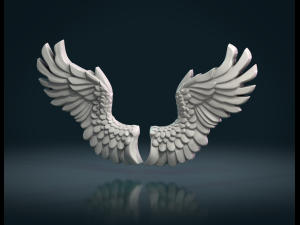 wings relief Modelo de Impressão 3D