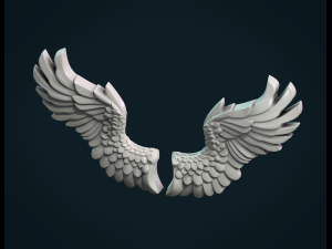 wings relief Modelo de Impressão 3D